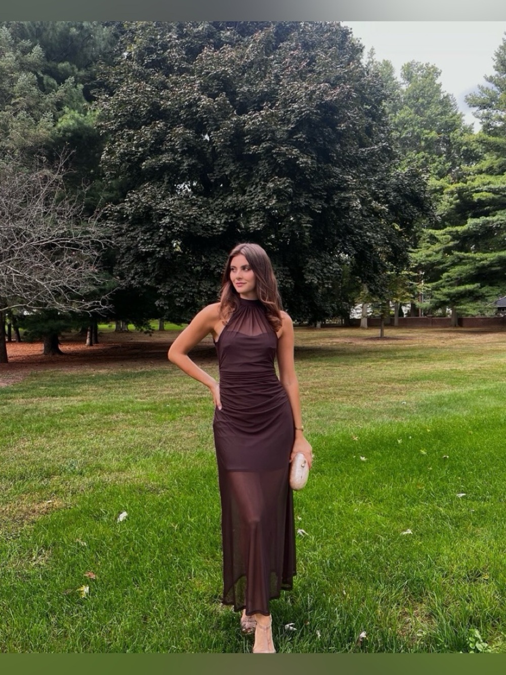 Abercrombie & Fitch Chocolate Brown Halter Maxi Dress
